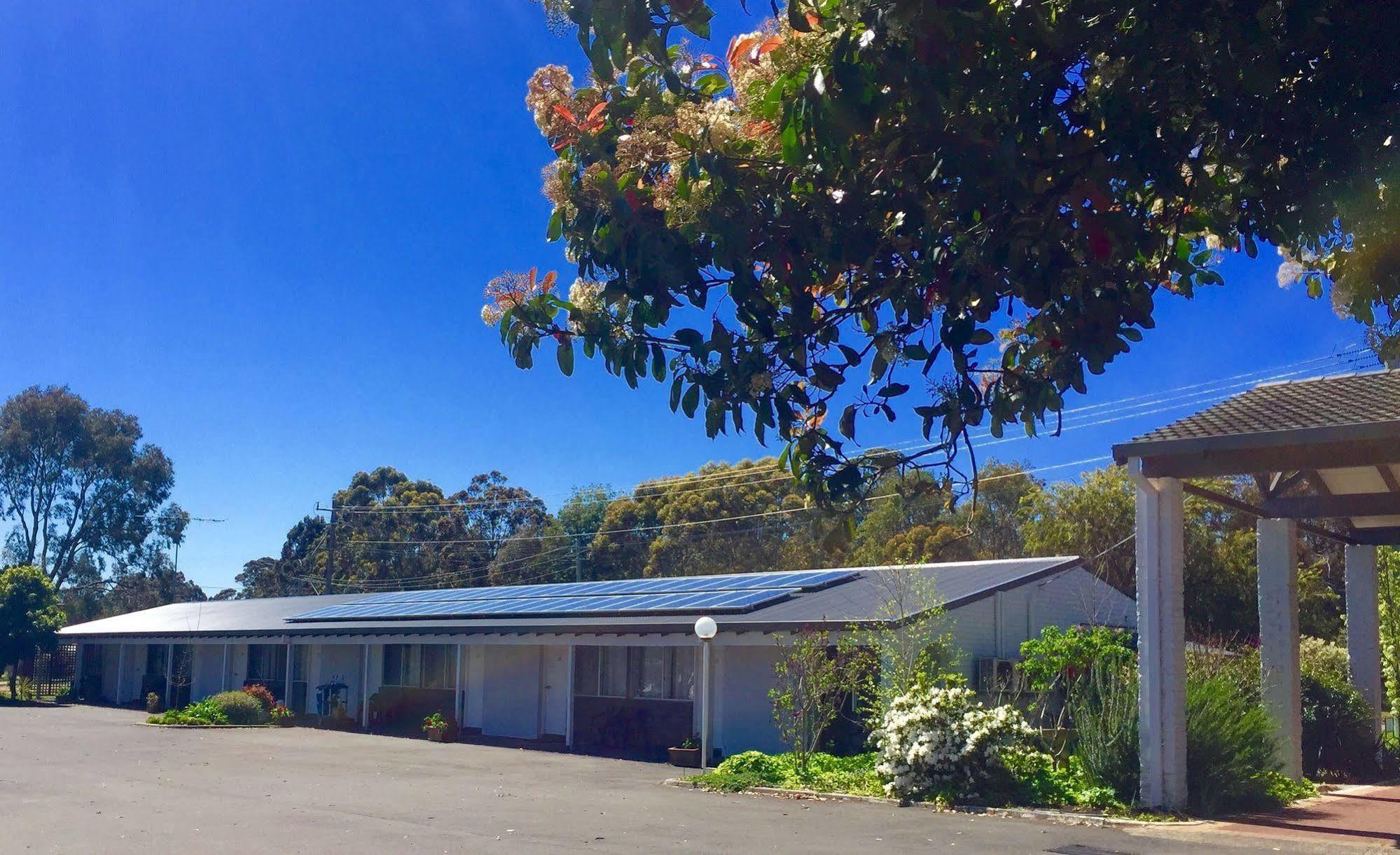 Manjimup Kingsley Motel Eksteriør billede